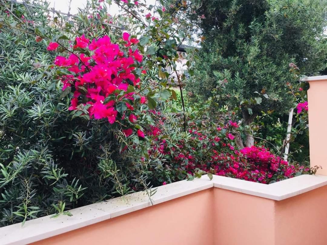 B & B Jasmine Santa Teresa Di Riva Luaran gambar